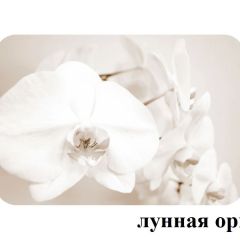 БОСТОН опоры Брифинг в Камышлове - kamyshlov.mebel24.online | фото 18