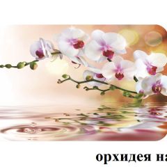 БОСТОН опоры Брифинг в Камышлове - kamyshlov.mebel24.online | фото 21