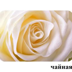 БОСТОН опоры Брифинг в Камышлове - kamyshlov.mebel24.online | фото 27