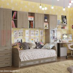 Детская Карина композиция 1 (Гикори Джексон светлый) в Камышлове - kamyshlov.mebel24.online | фото