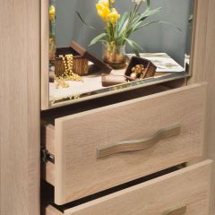 ДИАНА Д11 Шкаф для одежды в Камышлове - kamyshlov.mebel24.online | фото 5