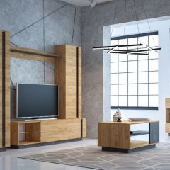 Гостиная Арчи (Дуб Золотой/Камень Темный) в Камышлове - kamyshlov.mebel24.online | фото 2