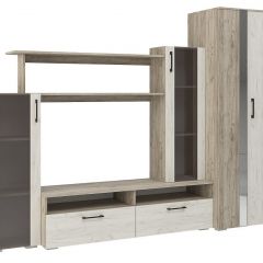 Гостиная Эмма (Дуб Крафт серый/белый) в Камышлове - kamyshlov.mebel24.online | фото 2