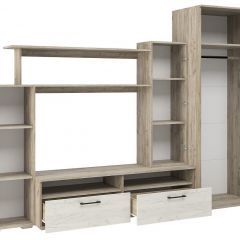 Гостиная Эмма (Дуб Крафт серый/белый) в Камышлове - kamyshlov.mebel24.online | фото 3