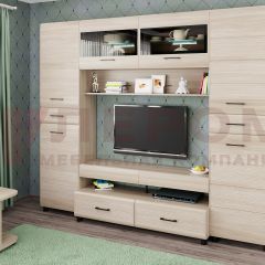Гостиная Камелия Композиция 10 (Ясень Асахи) в Камышлове - kamyshlov.mebel24.online | фото