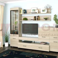 Гостиная Камелия Композиция 5 (Ясень Асахи) в Камышлове - kamyshlov.mebel24.online | фото