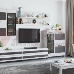 Гостиная Камелия Композиция 6 (Снежный ясень - серый) в Камышлове - kamyshlov.mebel24.online | фото