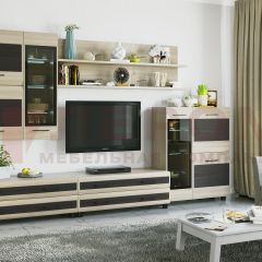 Гостиная Камелия Композиция 6 (Ясень Асахи комбинированный) в Камышлове - kamyshlov.mebel24.online | фото