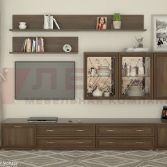 Гостиная Карина Композиция 10 (Акация Молдау) в Камышлове - kamyshlov.mebel24.online | фото