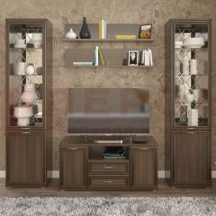 Гостиная Карина Композиция 13 (Акация Молдау) в Камышлове - kamyshlov.mebel24.online | фото