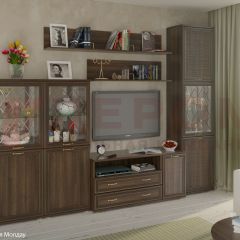 Гостиная Карина Композиция 22 (Акация Молдау) в Камышлове - kamyshlov.mebel24.online | фото