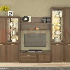 Гостиная Карина Композиция 24 (Акация Молдау) в Камышлове - kamyshlov.mebel24.online | фото
