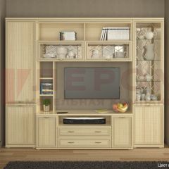 Гостиная Карина Композиция 9 (Ясень Асахи) в Камышлове - kamyshlov.mebel24.online | фото