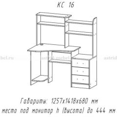 Компьютерный стол №16 (Анкор темныйанкор темный) в Камышлове - kamyshlov.mebel24.online | фото