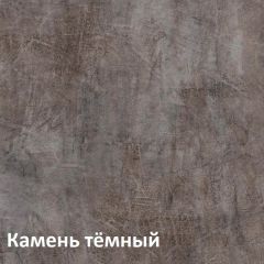 Крафт Полка для обуви 15.63 в Камышлове - kamyshlov.mebel24.online | фото 4