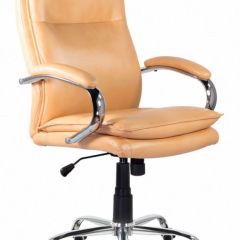 Кресло офисное BRABIX PREMIUM "Cuba EX-542", 532551 в Камышлове - kamyshlov.mebel24.online | фото
