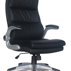 Кресло офисное BRABIX "Fregat EX-510" (рециклированная кожа, черное) 530863 в Камышлове - kamyshlov.mebel24.online | фото