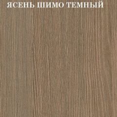 Кровать 2-х ярусная с диваном Карамель 75 (АРТ) Ясень шимо светлый/темный в Камышлове - kamyshlov.mebel24.online | фото 5