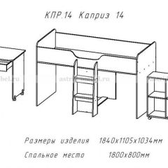 КАПРИЗ-14 Кровать 800 двухъярусная без рисунка в Камышлове - kamyshlov.mebel24.online | фото 2