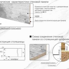 Кухонный фартук со столешницей (А-01) в едином стиле (3050 мм) в Камышлове - kamyshlov.mebel24.online | фото 7