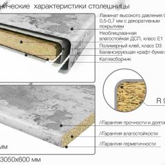 Кухонный фартук со столешницей (А-011) в едином стиле (3050 мм) в Камышлове - kamyshlov.mebel24.online | фото 6