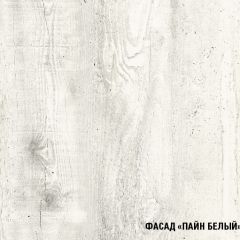 Кухонный гарнитур Алина макси (1800) в Камышлове - kamyshlov.mebel24.online | фото 7