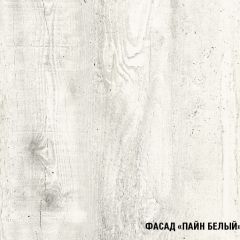 Кухонный гарнитур Алина мини (1000) в Камышлове - kamyshlov.mebel24.online | фото 7