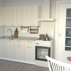 Кухонный гарнитур Лариса стандарт 2 1600 мм в Камышлове - kamyshlov.mebel24.online | фото