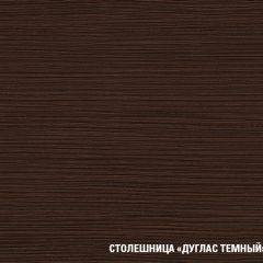 Кухонный гарнитур Полина стандарт 1600 в Камышлове - kamyshlov.mebel24.online | фото 12