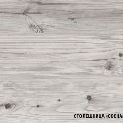 Кухонный гарнитур Сиена прайм 400 1100х2000 мм в Камышлове - kamyshlov.mebel24.online | фото 7