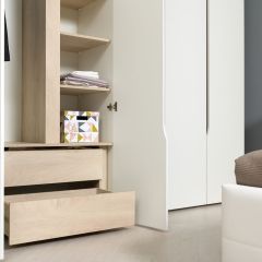 Муссон Шкаф двухстворчатый 13.198 в Камышлове - kamyshlov.mebel24.online | фото 3