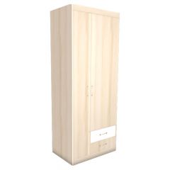 НИКА Н10 Шкаф для одежды в Камышлове - kamyshlov.mebel24.online | фото