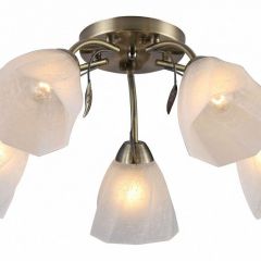 Потолочная люстра Rivoli Olivia Б0052693 в Камышлове - kamyshlov.mebel24.online | фото
