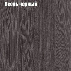 Прихожая ДИАНА-4 сек №10 (Ясень анкор/Дуб эльза) в Камышлове - kamyshlov.mebel24.online | фото 3