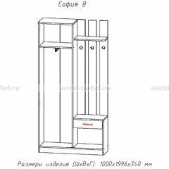 Прихожая София 8 в Камышлове - kamyshlov.mebel24.online | фото 2