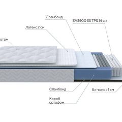 PROxSON Матрас Active Duo S/F (Ткань Трикотаж Эко) 120x190 в Камышлове - kamyshlov.mebel24.online | фото 7