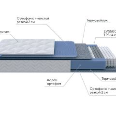 PROxSON Матрас Active M (Ткань Трикотаж Эко) 160x200 в Камышлове - kamyshlov.mebel24.online | фото 7