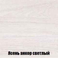 Шкаф 2-х створчатый МСП-1 (Ясень Анкор светлый) в Камышлове - kamyshlov.mebel24.online | фото 4