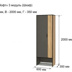 ОЛЬГА-ЛОФТ 3 Шкаф 2-х створчатый в Камышлове - kamyshlov.mebel24.online | фото 4
