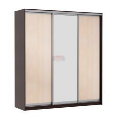 МИРАЖ 17.1 (620) 1 зеркало Шкаф для платья и белья в Камышлове - kamyshlov.mebel24.online | фото