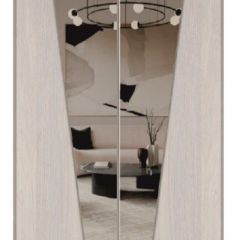 Шкаф-купе 1300 серии SILVER S1+S1+B2+PL2 (2 ящика+1 штанга+1 полка) профиль «Серебро» в Камышлове - kamyshlov.mebel24.online | фото 12