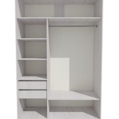 Шкаф-купе 1300 серии SILVER S1+S1+B2+PL2 (2 ящика+1 штанга+1 полка) профиль «Серебро» в Камышлове - kamyshlov.mebel24.online | фото 2