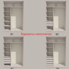 Шкаф-купе 1300 серии SILVER S1+S1+B2+PL2 (2 ящика+1 штанга+1 полка) профиль «Серебро» в Камышлове - kamyshlov.mebel24.online | фото 5