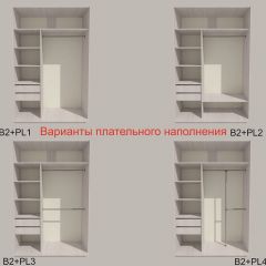Шкаф-купе 1300 серии SILVER S1+S1+B2+PL2 (2 ящика+1 штанга+1 полка) профиль «Серебро» в Камышлове - kamyshlov.mebel24.online | фото 6