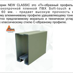 Шкаф-купе 1500 серии NEW CLASSIC K3+K3+B2+PL1 (2 ящика+1 штанга) профиль «Капучино» в Камышлове - kamyshlov.mebel24.online | фото 5