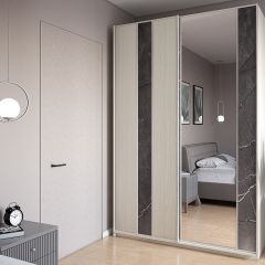 Шкаф-купе 1500 серии SILVER S4+S3Z+B2+PL1 (2 ящика+1 штанга) профиль «Серебро» в Камышлове - kamyshlov.mebel24.online | фото