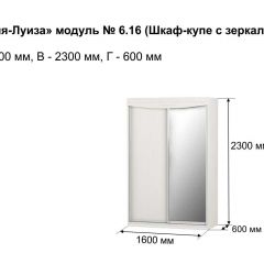 Шкаф-купе 1600 с зеркалом "Мария-Луиза 6.16" в Камышлове - kamyshlov.mebel24.online | фото 4