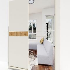 Шкаф-купе 1600 серии SOFT D6+D4+B2+PL2 (2 ящика+1штанга+1 полка) профиль «Капучино» в Камышлове - kamyshlov.mebel24.online | фото 2