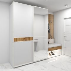 Шкаф-купе 1600 серии SOFT D6+D4+B2+PL2 (2 ящика+1штанга+1 полка) профиль «Капучино» в Камышлове - kamyshlov.mebel24.online | фото 5