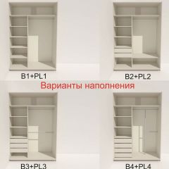 Шкаф-купе 1600 серии SOFT D6+D4+B2+PL2 (2 ящика+1штанга+1 полка) профиль «Капучино» в Камышлове - kamyshlov.mebel24.online | фото 7